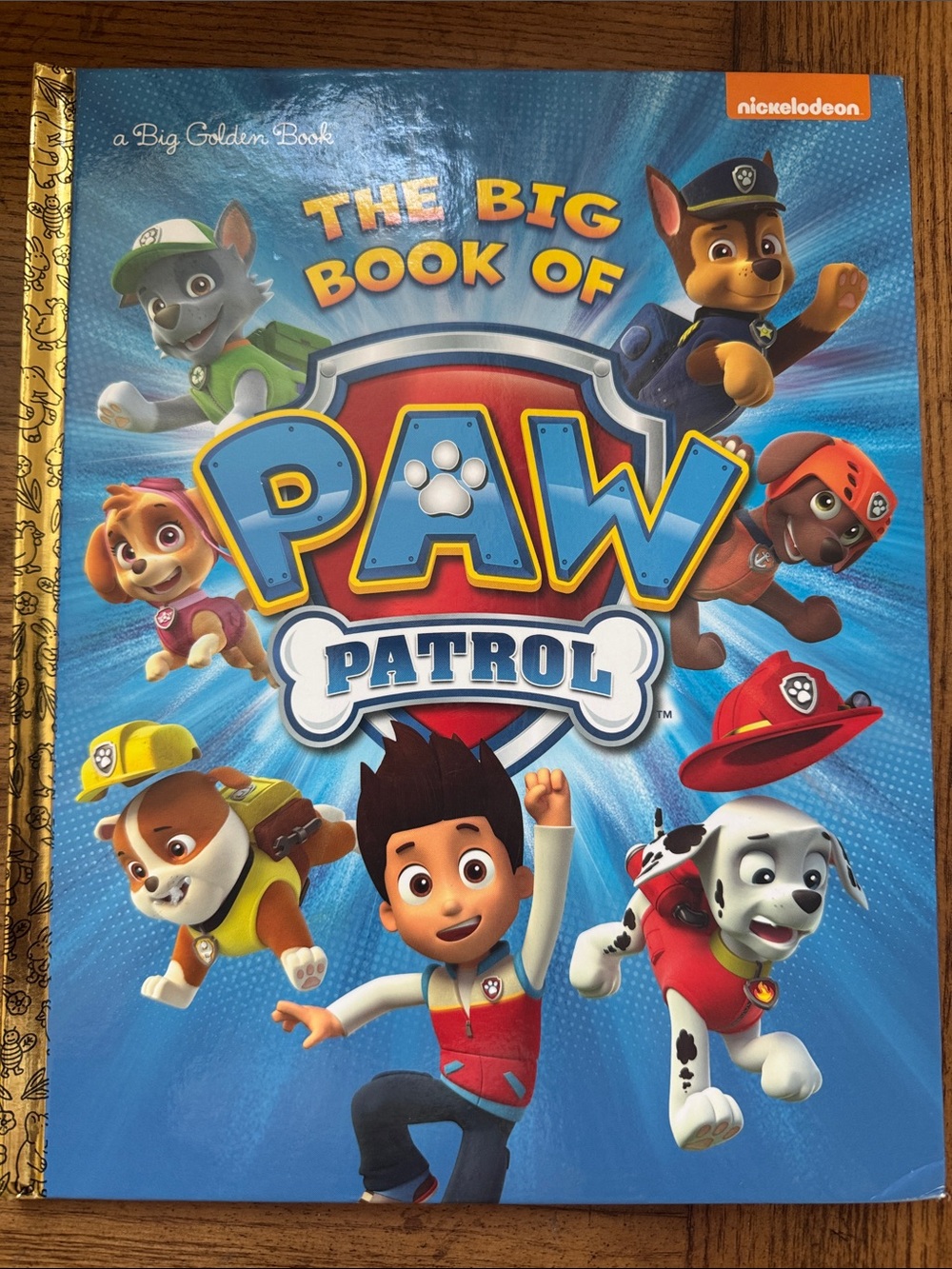 Nickelodeon Paw Patrol Big Book of Paw - Children 3-6 Book